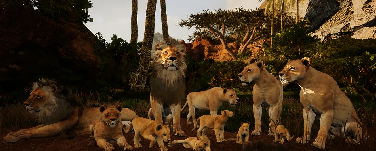 What is Animalia Survival?