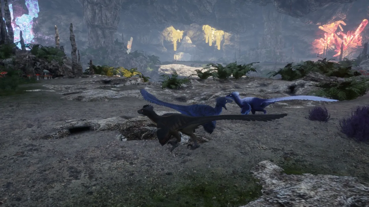 What is Raptor Territory?