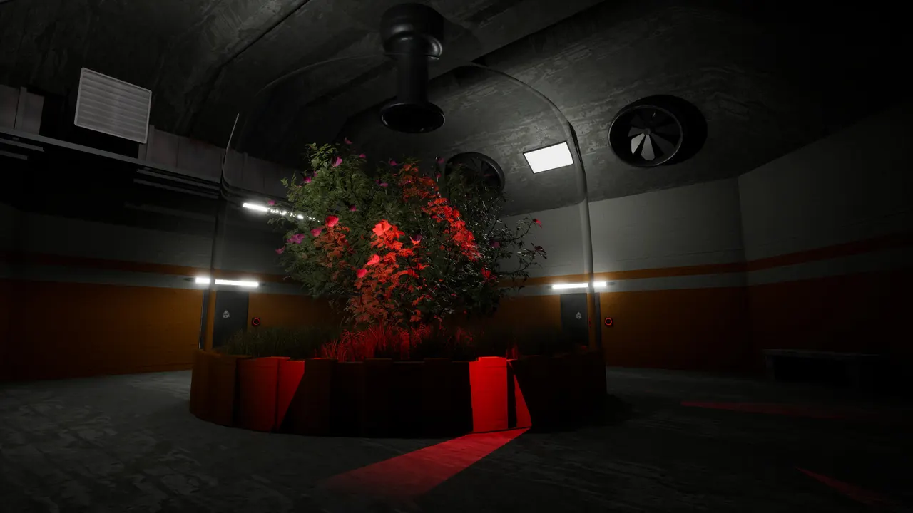 What is SCP: ReEnter?