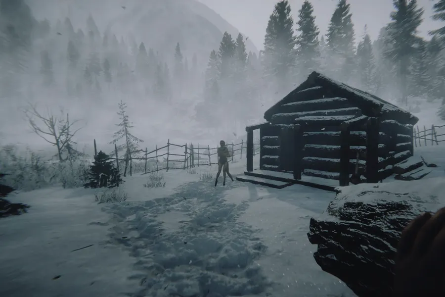 What is Sons of the Forest?
