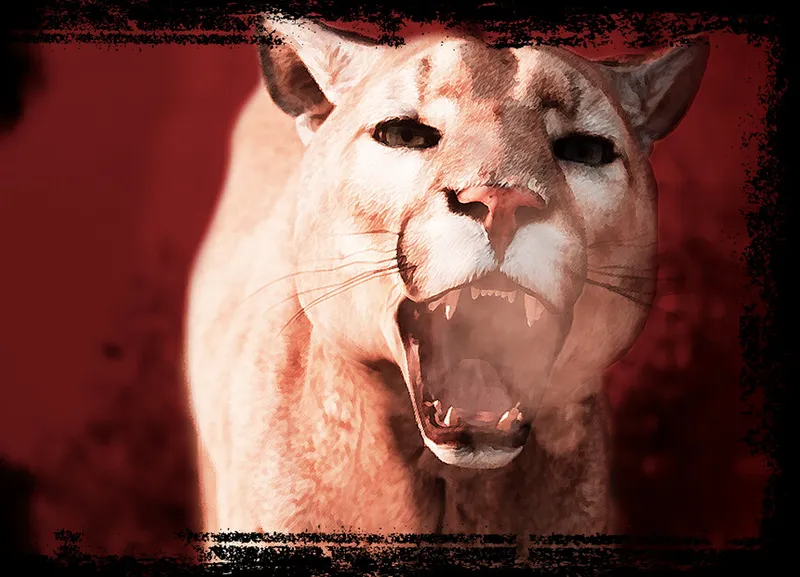 What is The Cenozoic Era?