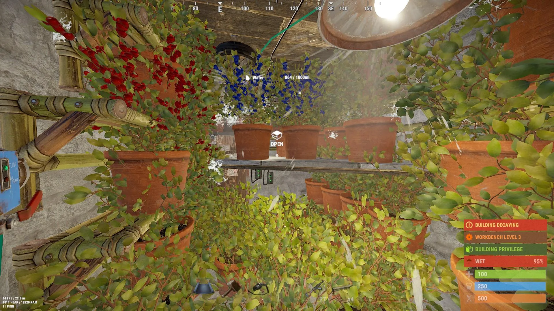 Berry Farming