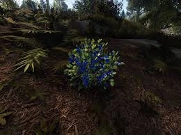 Berries in Rust