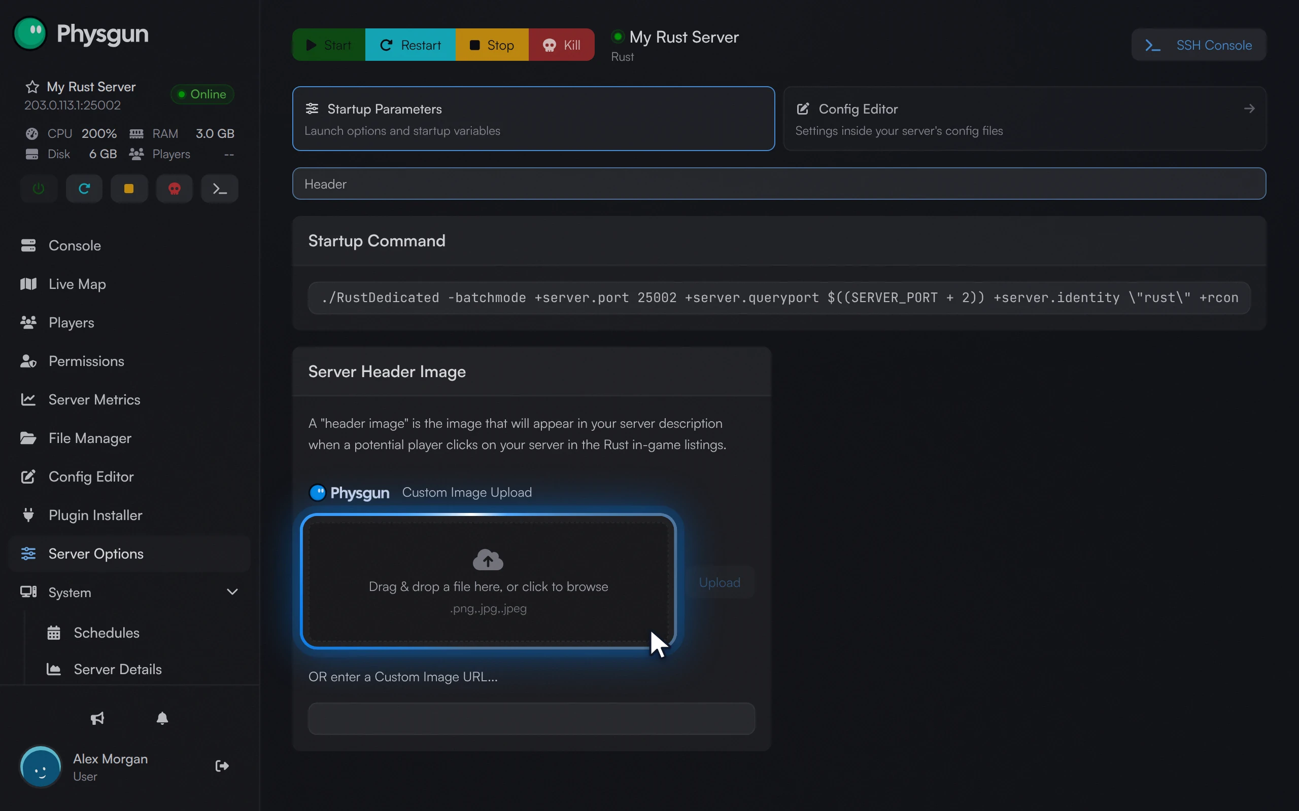 The Server Header Image setting with the Custom Image Upload box highlighted, above the Custom Image URL field