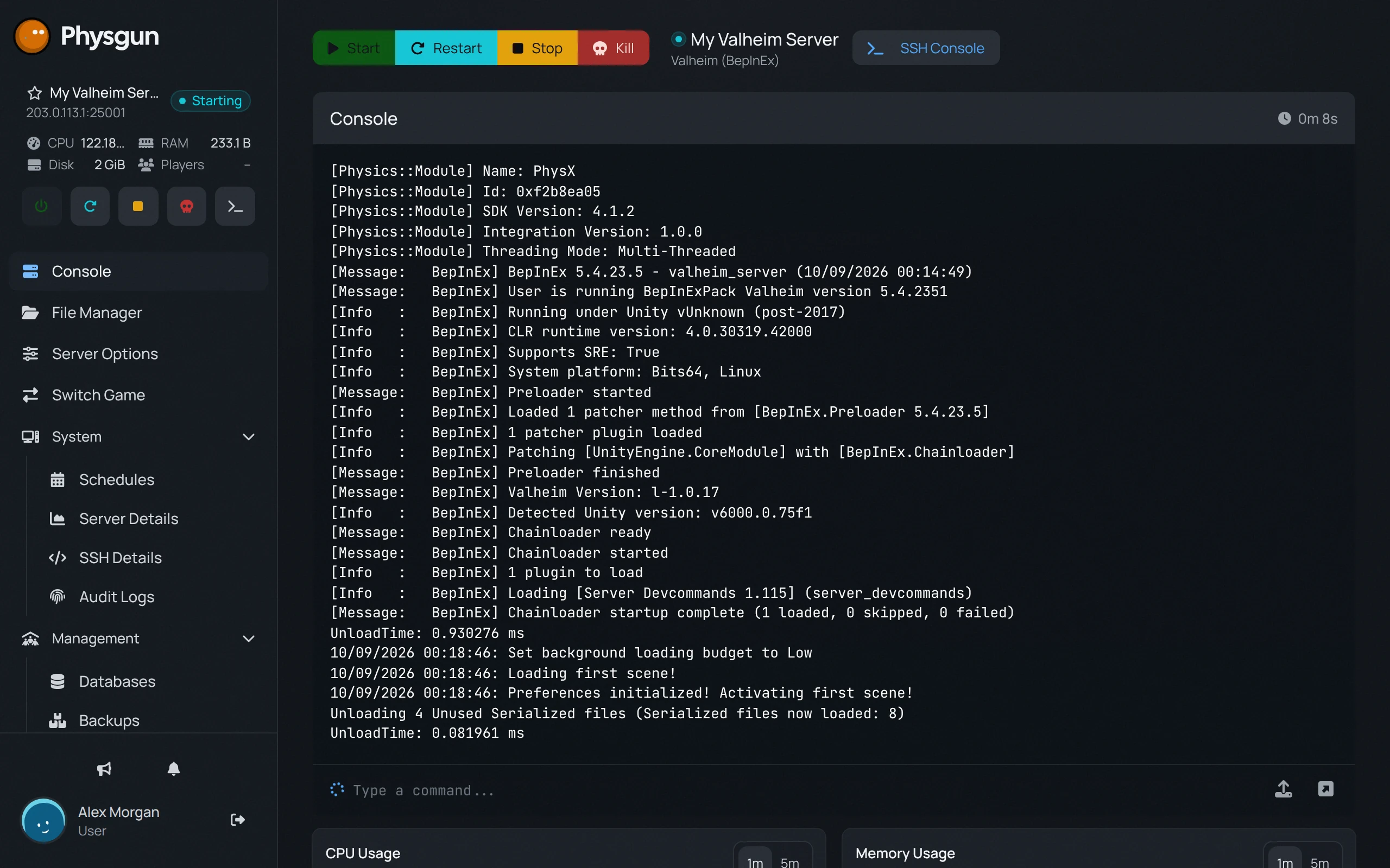 The console showing BepInEx loading Server Devcommands 1.115, with 1 loaded, 0 skipped and 0 failed