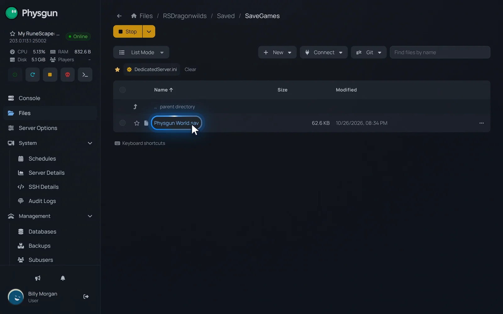 The SaveGames folder in the file manager with the Physgun World.sav file