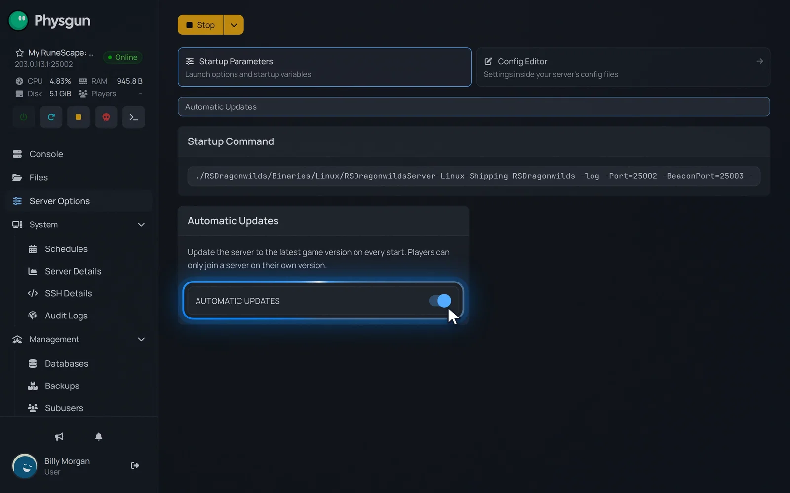 The Automatic Updates card in Server Options with its switch turned on