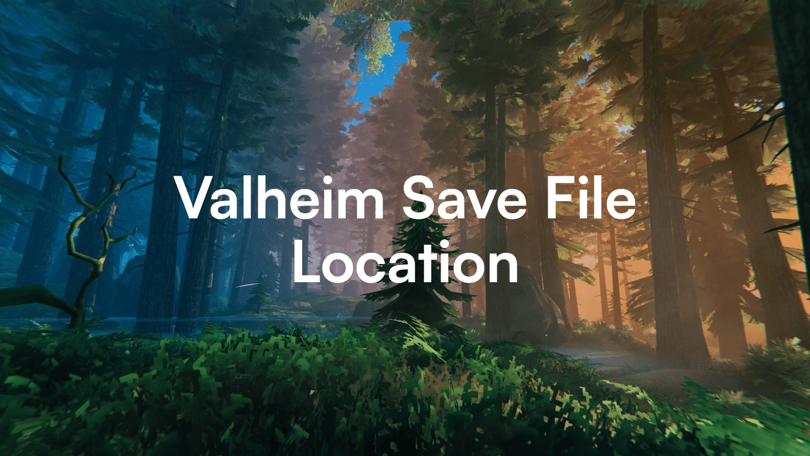 Valheim Save File Location: Every Platform, Explained