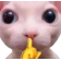:bingusshh: